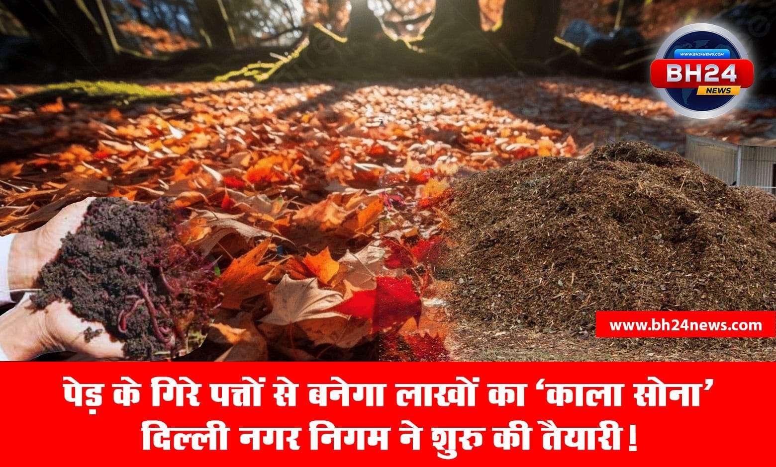 Delhi Municipal Corporation will make black gold from leaves