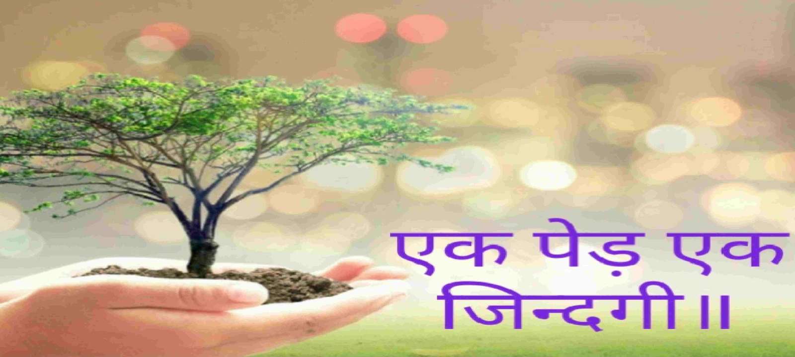 Tree Plantation is Very Important to save our environment
