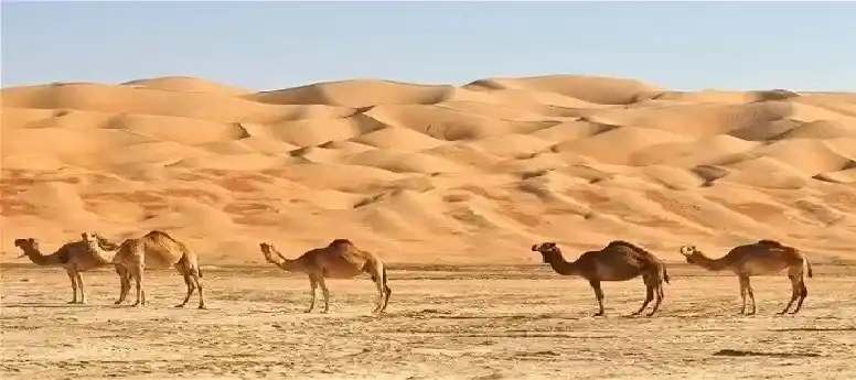 No River in Arab Countries