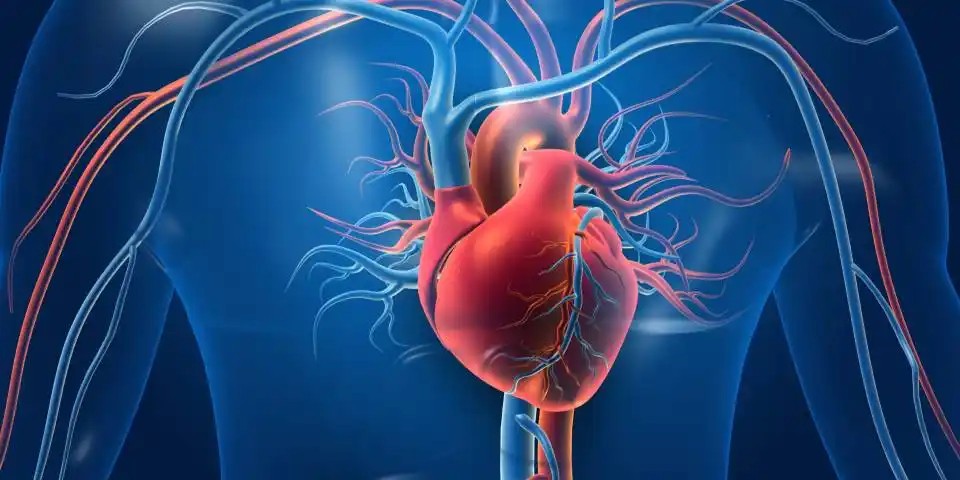 Heart Health