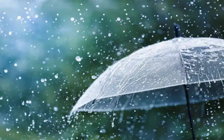 Acid Rain Effects