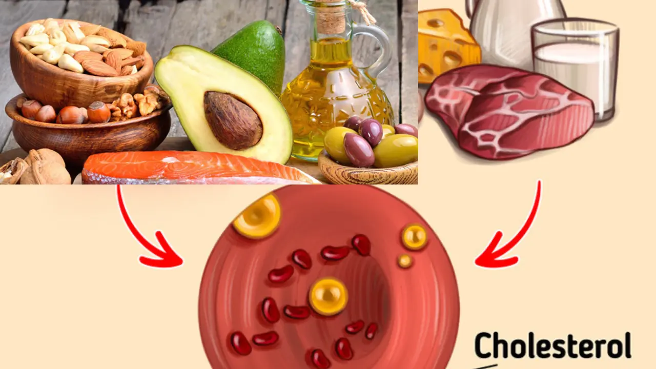 Good Cholesterol: ऐसे फूड्स जो आपके गुड कोलेस्ट्रॉल को काफी अच्छे से बढ़ा सकते हैं…