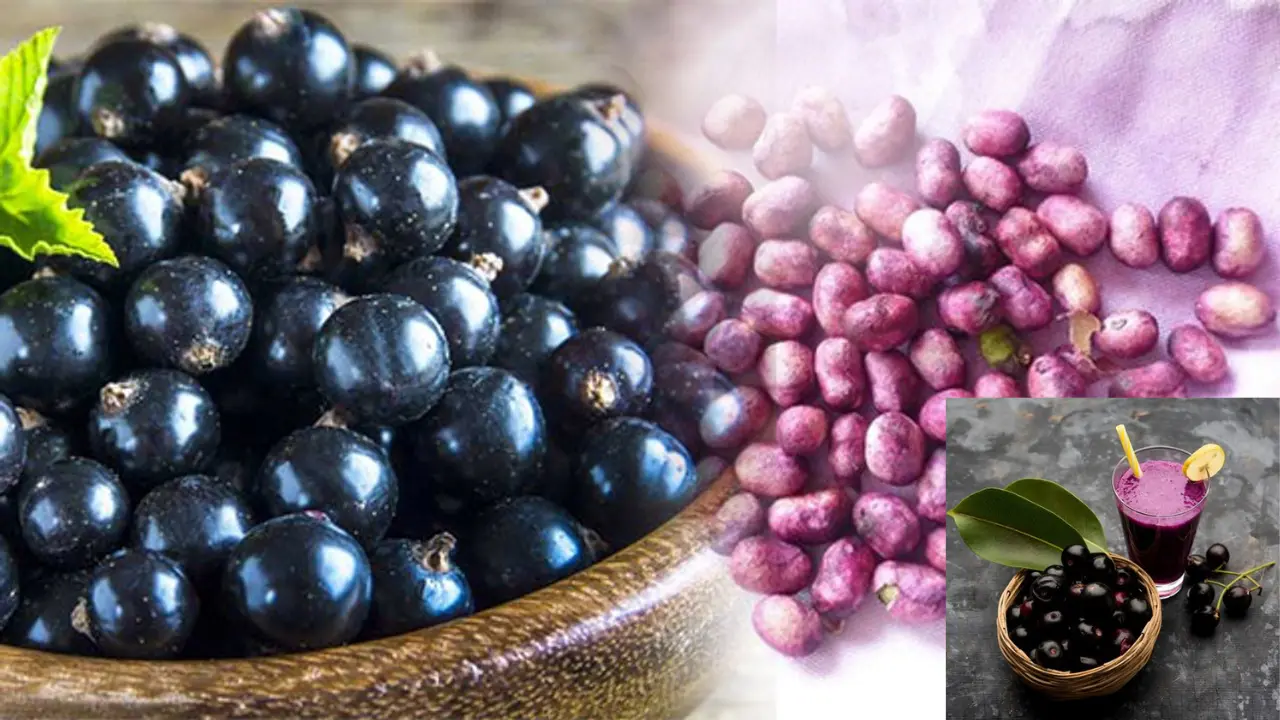 Jamun Ayurvedic Aushadhi: जामुन है तो बीमारियां कैसी?