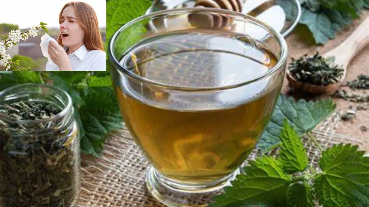 Seasonal Allergy: मानसून में खाएं ये चीजें, जो आपको सीजनल एलर्जी से बचाएंगी