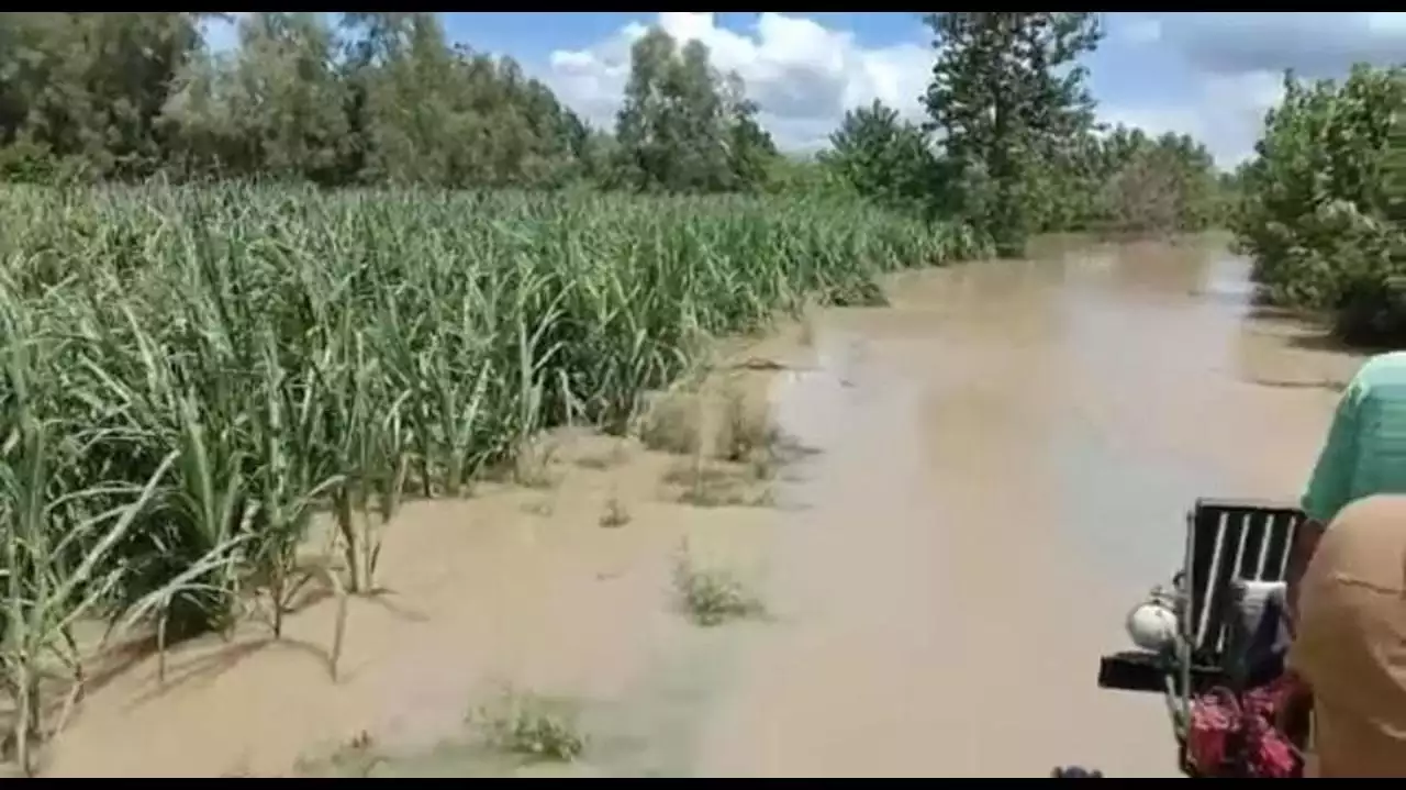 Moradabad Flood News