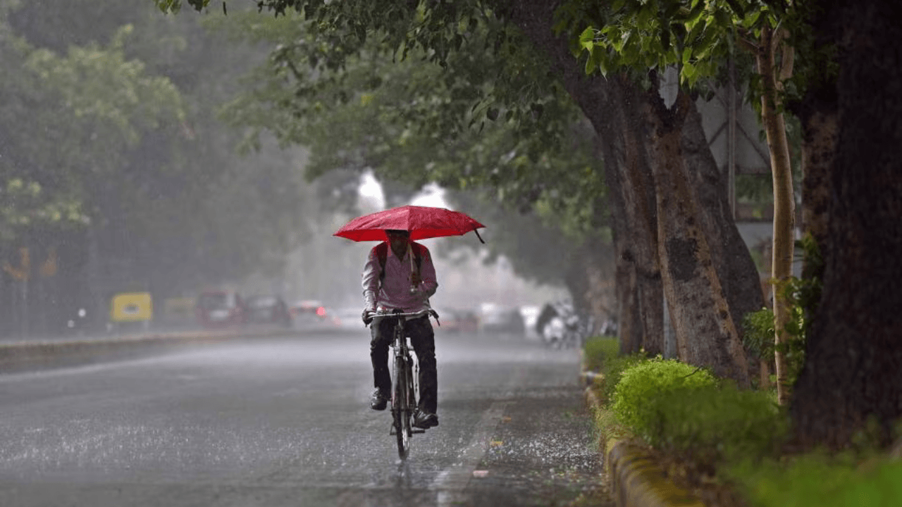 Happy Monsoon