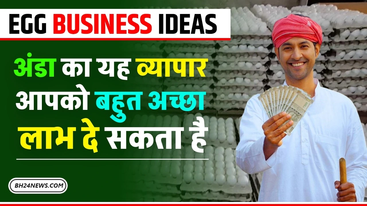 Egg Business Ideas 2024