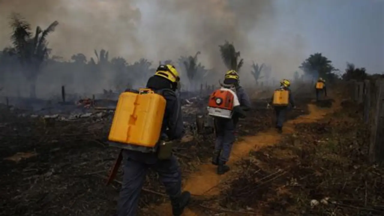 Brazil Wildfire