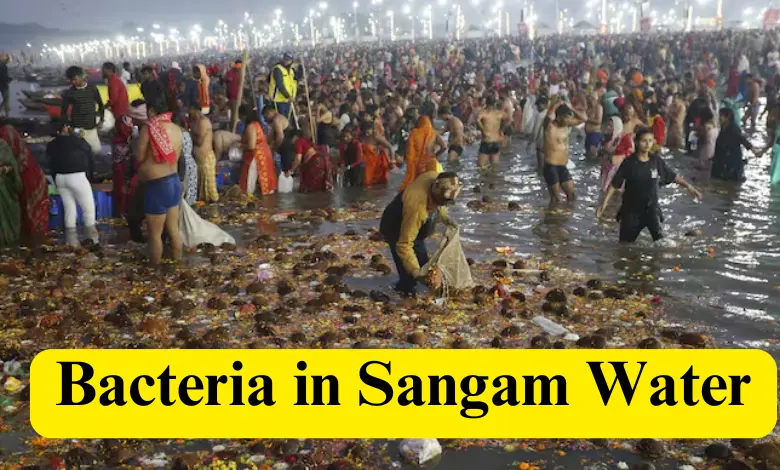 Bacteria in Sangam Water